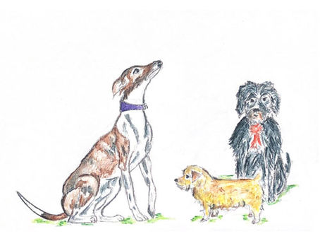 🐾 Get Ready for the Fun Dog Show! 🐾