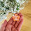 Miniature : POUVOIR DES FLEURS orange