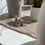 Miniature : HIBOU