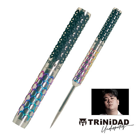 ヒューゴリョン選手モデル ダーツ バレル TRiNiDAD HUGO type3 ヒューゴ・リョン選手モデル (ダーツ バレル