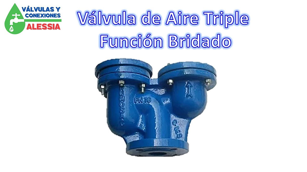 Diapositiva174