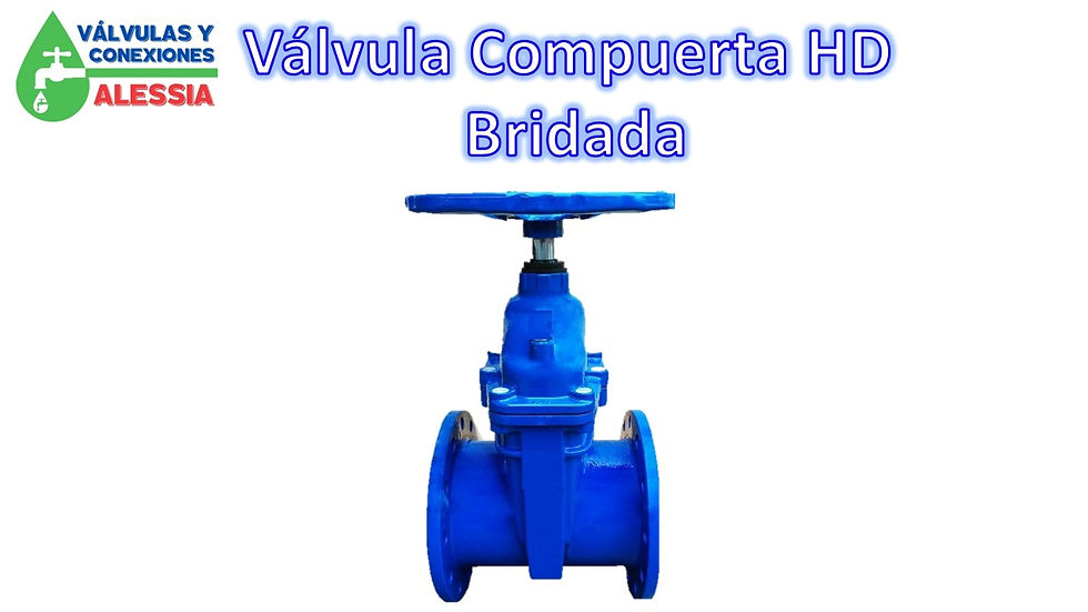 Diapositiva114