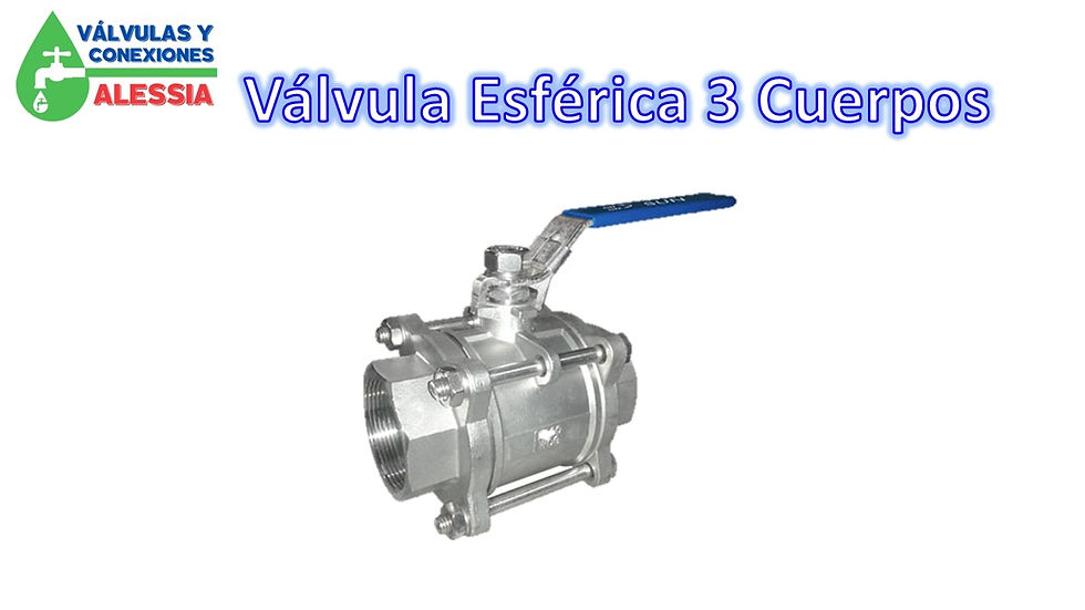 Diapositiva110
