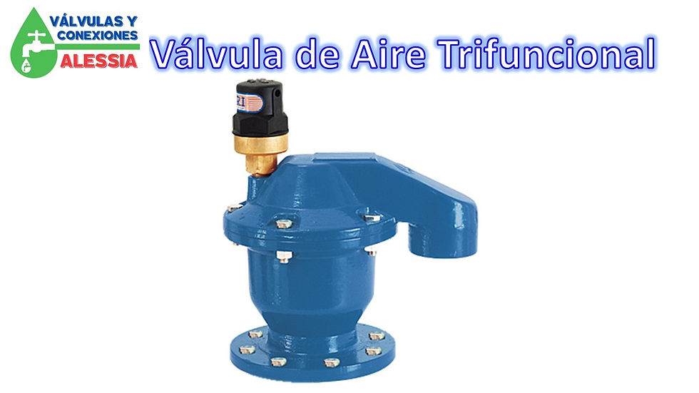 Diapositiva168