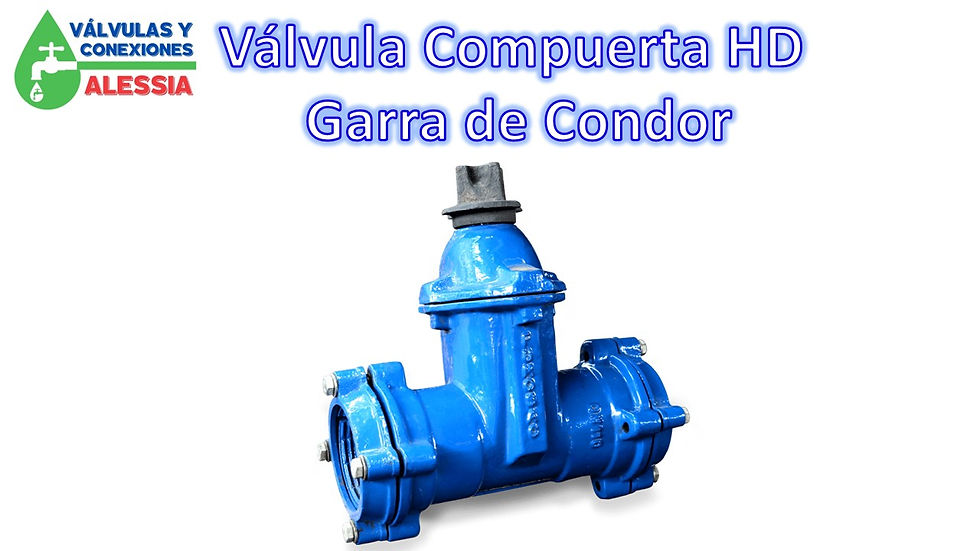 Diapositiva116