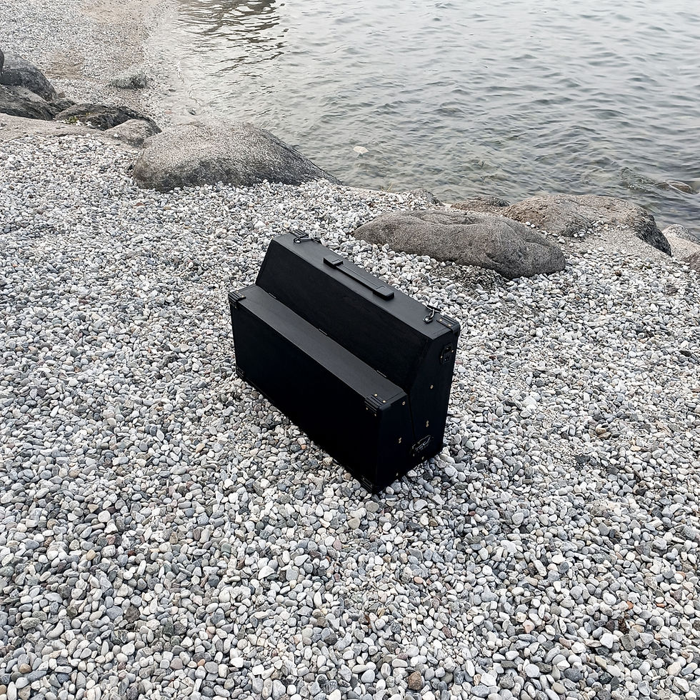Miniatura: 12U Eurorack Case Powered, 126hp, or 84/104 hp, patched reseal, modular synth