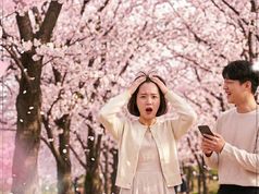 대구헤어라인] 올봄 벚꽃 인생샷의 완성은 헤어라인! 앞머리 사수 말고 벚꽃에만 집중하세요