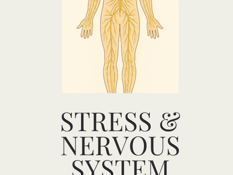 Free Stress & Nervous System Reset Guide
