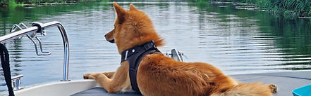 20250727_170926_edited.jpg