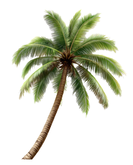 Screenshot 2026-02-21 at 5_edited.png