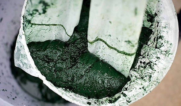espirulina.jpg