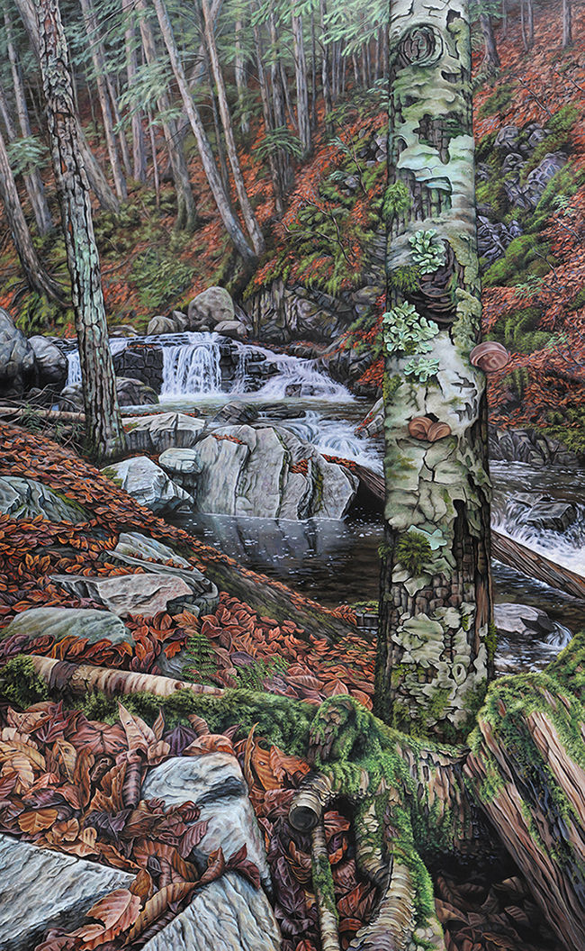 Autumn reflections