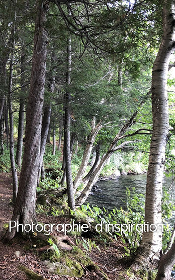 Photographie qui a inspiré une peinture d'un paysage situé au bord d'un lac