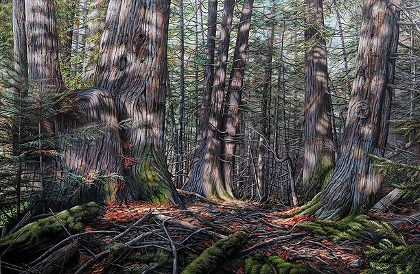 Commande personnalisée d'une forêt en Gaspésie faite par l'artiste peintre Chantal Bourque