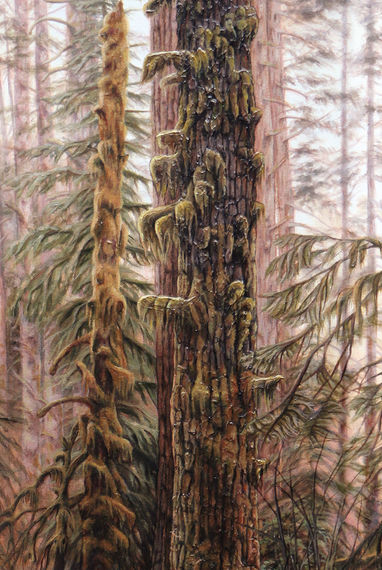 Trees in nature in painting. Piece of wood with green mosses on the trunk, found in nature.