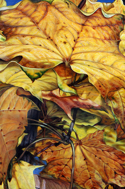 Miniature : BRISE D'AUTOMNE / AUTUMN BREZE