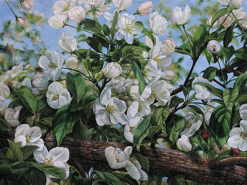 Bloom