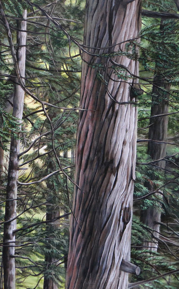Peinture d'un chemin dans une forêt de confères au Québec.