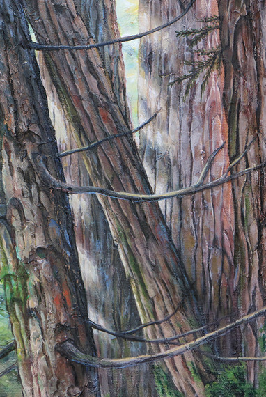 Peinture d'un sous-bois d'une forêt de cèdres. Cette oeuvre est réalisée avec de l'Acrylique et des médiums mixtes, et les trons des arbres bruns possèdent beaucoup de relief et de texture.