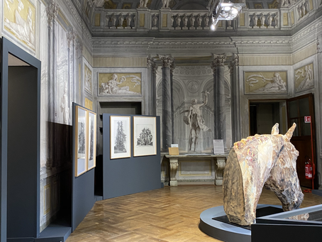 La mostra degli Alberi Monumentali Piemontesi di Federica Galli riapre