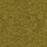 Cord8.png