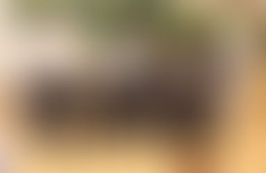 平成30年度「事例発表会」