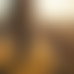 Effective Techniques for Training Your Dog