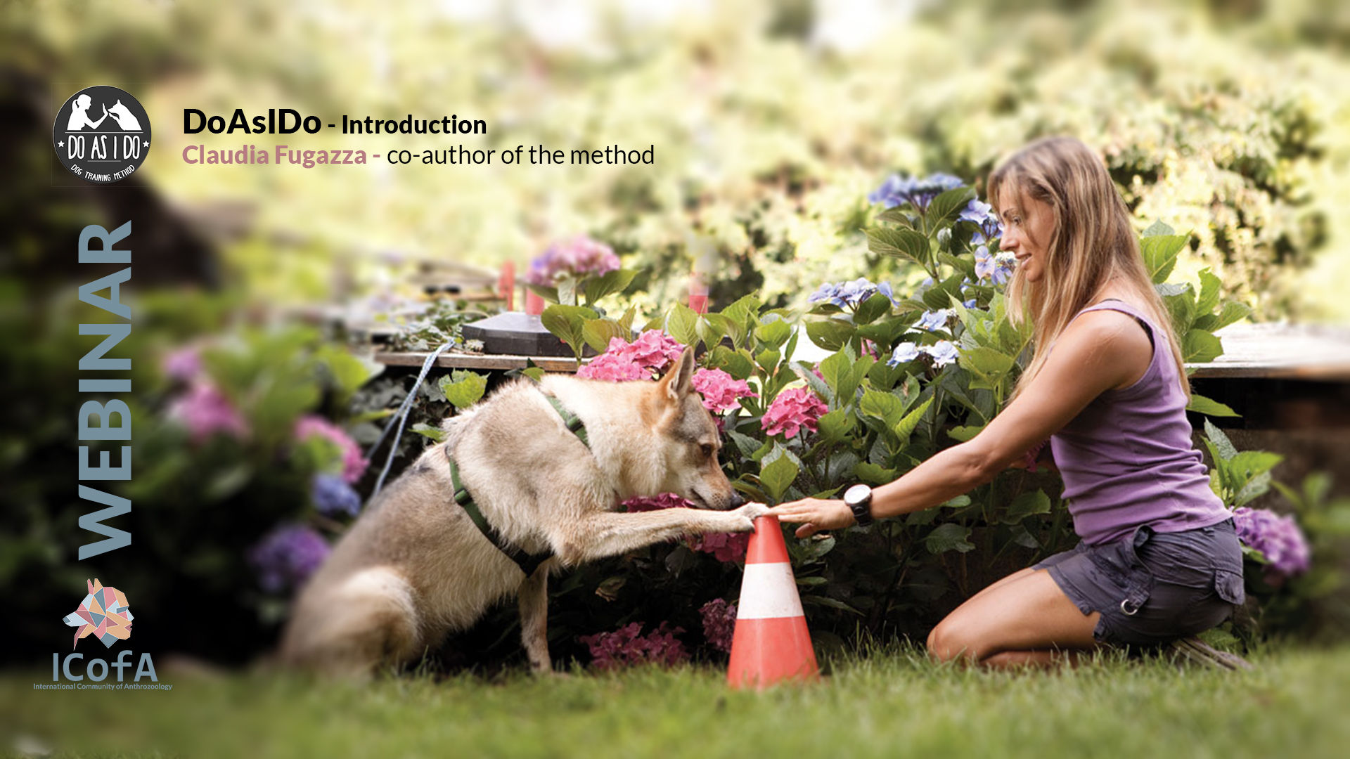 Do as I do: introduction