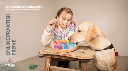Online praktisk prøve i dyreassistert pedagogikk