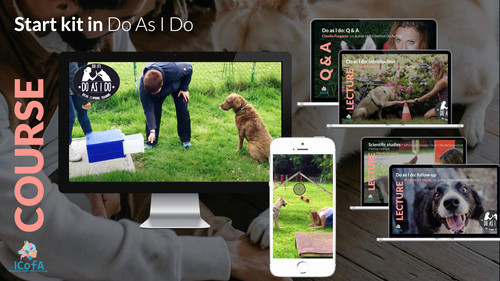 Learn the method, Do As I Do start kit | ICofA Community