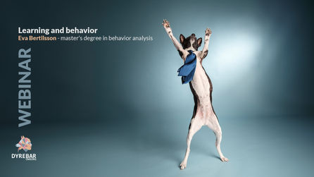 Learning and behavior