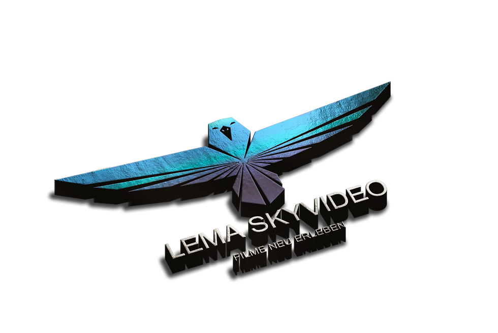 Logo Entwurf Günstig in 3D Stahleffekt lema webdesign