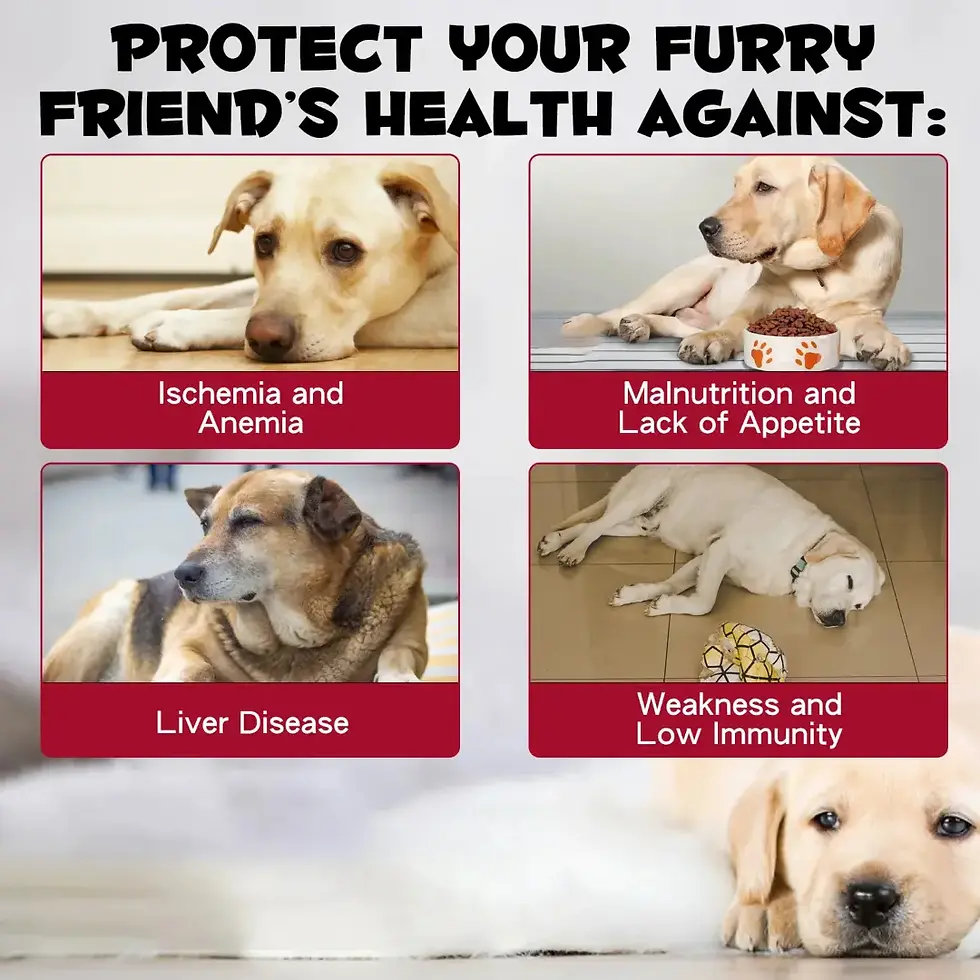 Thumbnail: Oimmal Liquid Iron Drops for Dogs -60ml