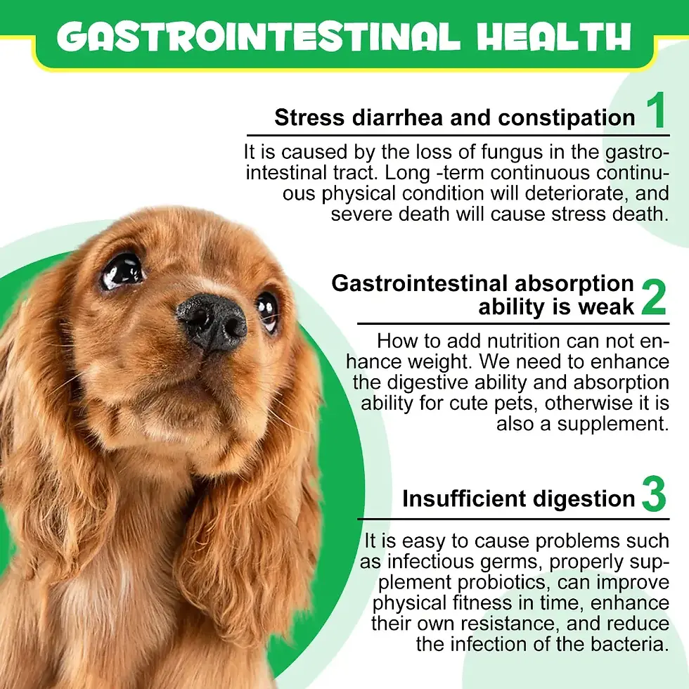 Thumbnail: Oimmal Pre &amp; Probiotic Digestive Treats for Dogs -120 Duck Flavour