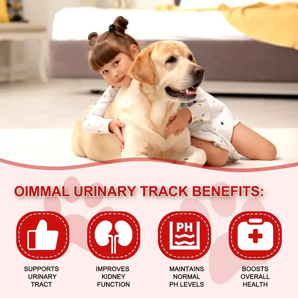 Thumbnail: Oimmal Daily Urinary Tablets for Dogs –180 Count