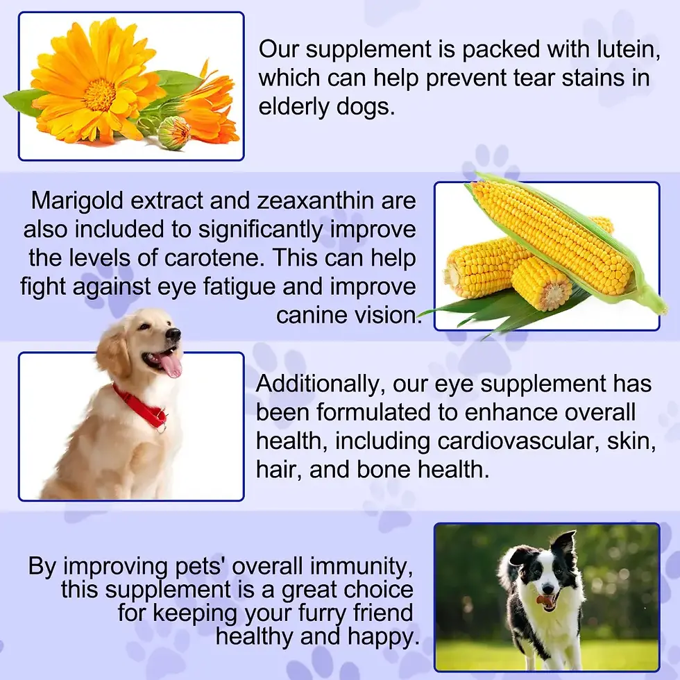 Thumbnail: Oimmal Everyday Tablets for Dogs –180 Count