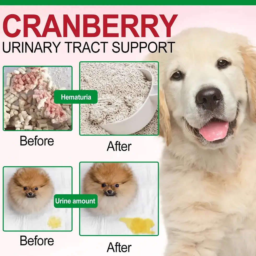 Thumbnail: Oimmal Bladder Control + Cranberry Soft Chews for Dogs - 150 Peking Duck