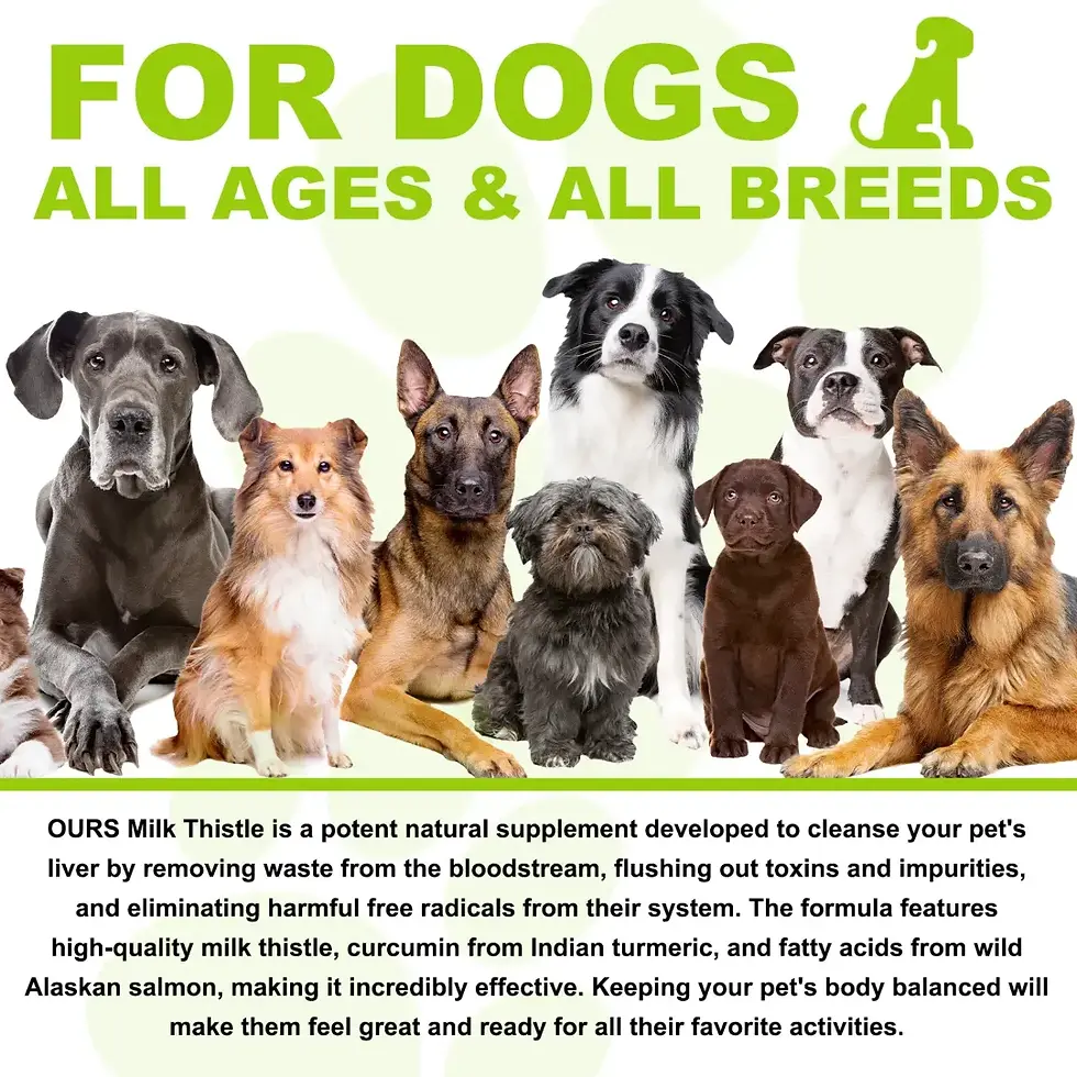 Thumbnail: Oimmal Milk Thistle Drops for Dogs - 60ml