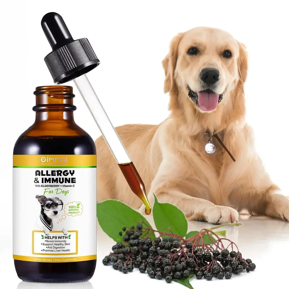 Thumbnail: Oimmal Allergy Tabs for Dogs –60ml