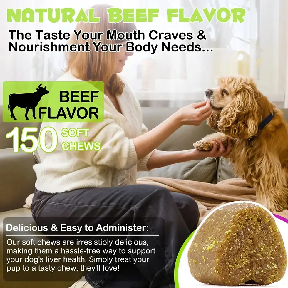 Thumbnail: Oimmal Liver Support Chews for Dogs -150 Beef Flavour