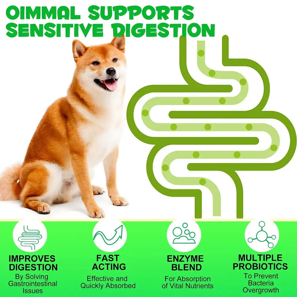 Thumbnail: Oimmal Probiotic Tablets for Dogs -180
