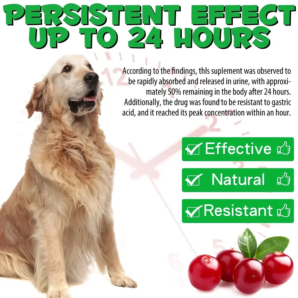 Thumbnail: Oimmal Bladder Drops for Dogs -Cranberry Falvour –60ml