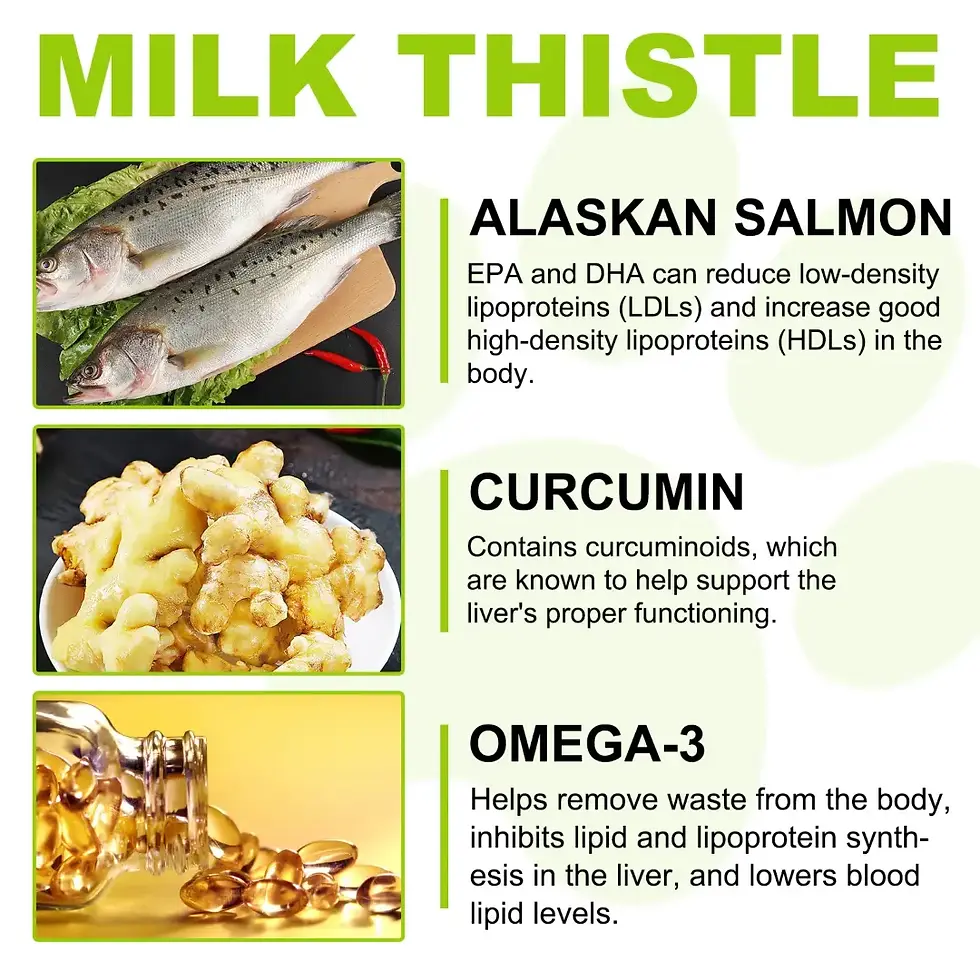 Thumbnail: Oimmal Milk Thistle Drops for Dogs - 60ml