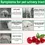 Thumbnail: Oimmal Bladder Control + Cranberry Soft Chews for Dogs - 150 Peking Duck Flavour