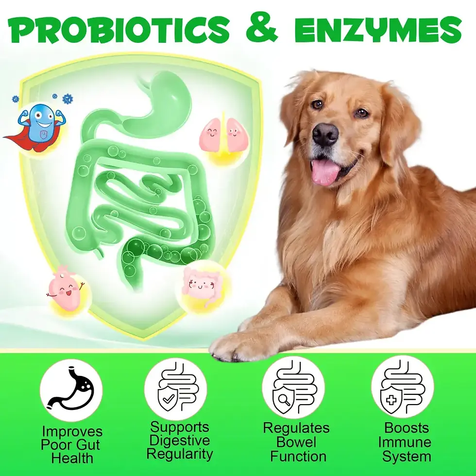 Thumbnail: Oimmal Probiotic Tablets for Dogs -180