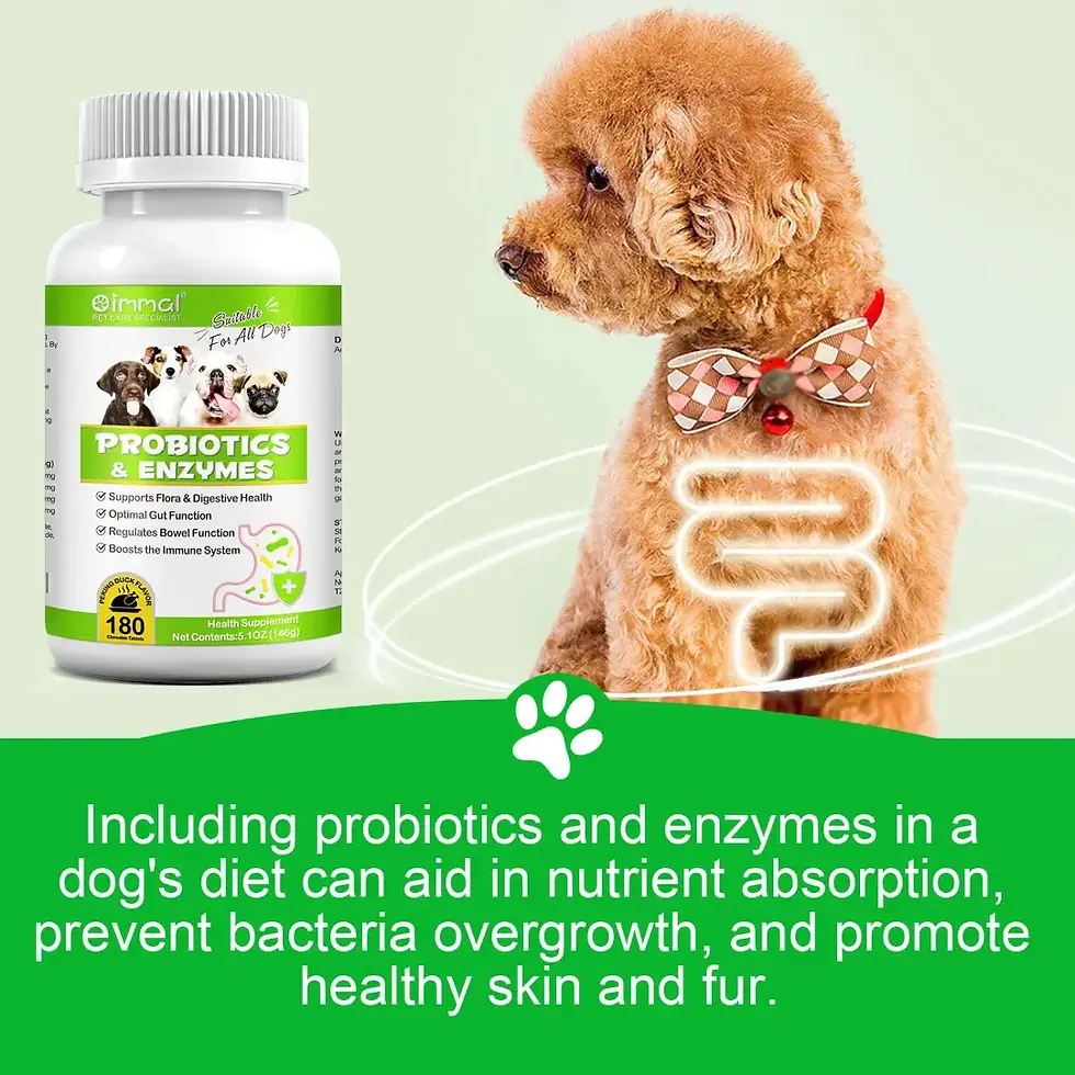 Thumbnail: Oimmal Probiotic Tablets for Dogs -180
