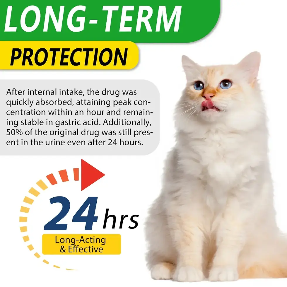 Thumbnail: Oimmal Wellness Drops for Cats – 60ml