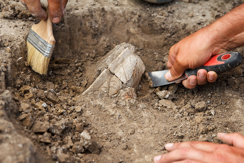 Ernest Witte Site Excavation