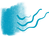 Untitled_Artwork 101_edited.png