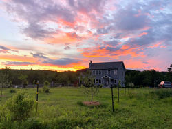pumpkins around pool